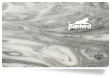 Pantera